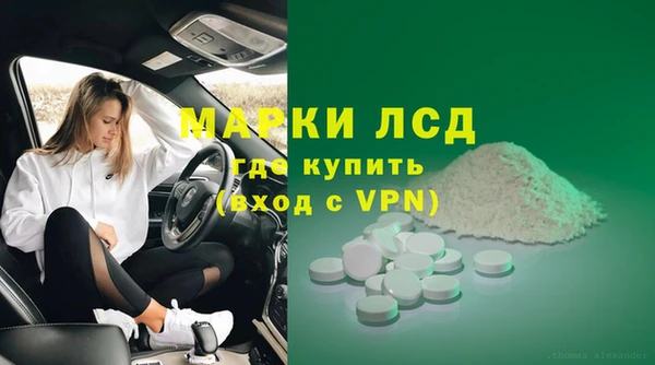 дживик Белокуриха