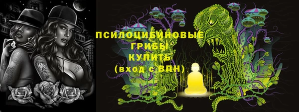 дживик Белокуриха