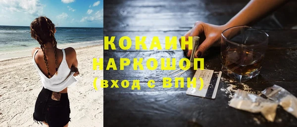 дживик Белокуриха
