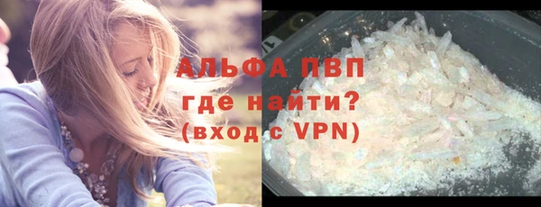 дживик Белокуриха