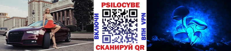 Псилоцибиновые грибы прущие грибы Улан-Удэ