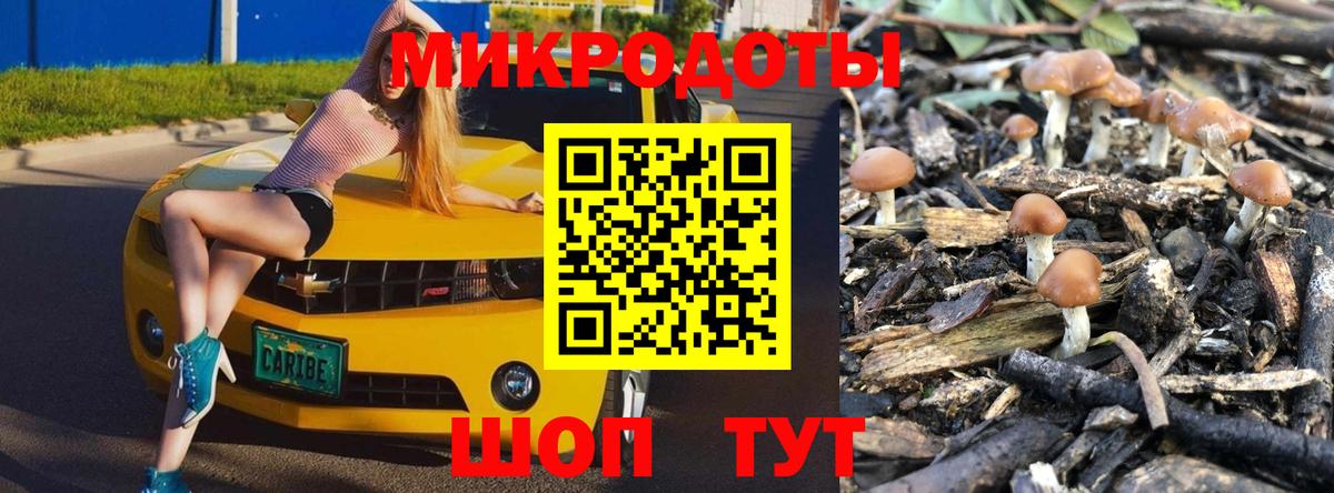 Галлюциногенные грибы мухоморы Улан-Удэ