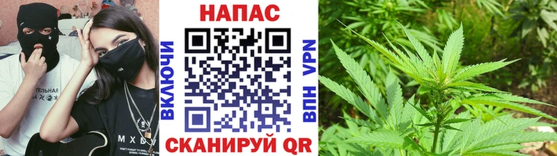 сколько стоит Улан-Удэ Шишки марихуана гибрид
